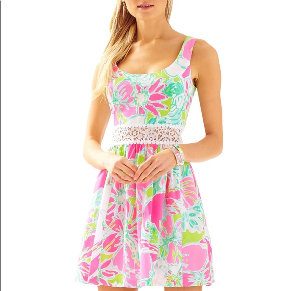 Lilly Pulitzer Dresses & Skirts - Lilly Pulitzer | NWT Rosemarie Crochet Lace Dress